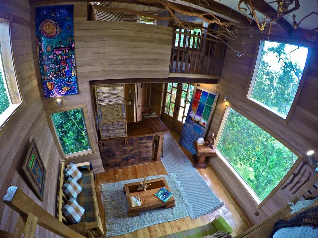 La Casa Del Arbol De Chiloe Villa Castro Cameră foto