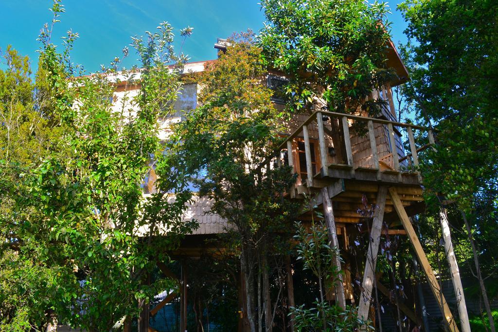La Casa Del Arbol De Chiloe Villa Castro Cameră foto